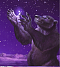 Benutzerbild von BearPlay