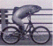 Benutzerbild von Bmxicle