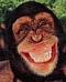 Benutzerbild von 1Gamblin_Man